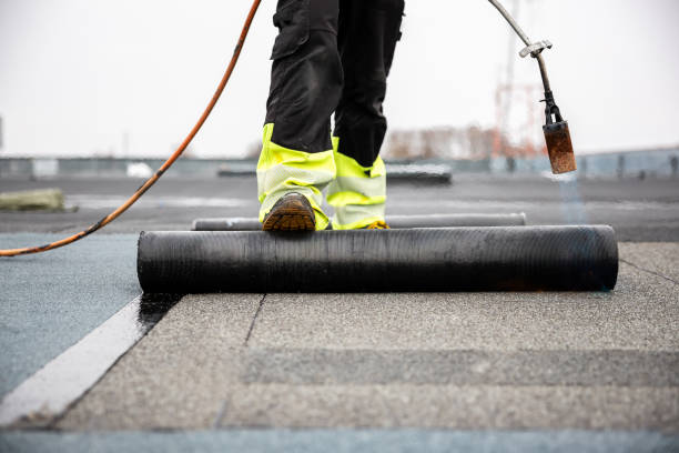 Asphalt Shingles Roofing in Mount Dora, FL